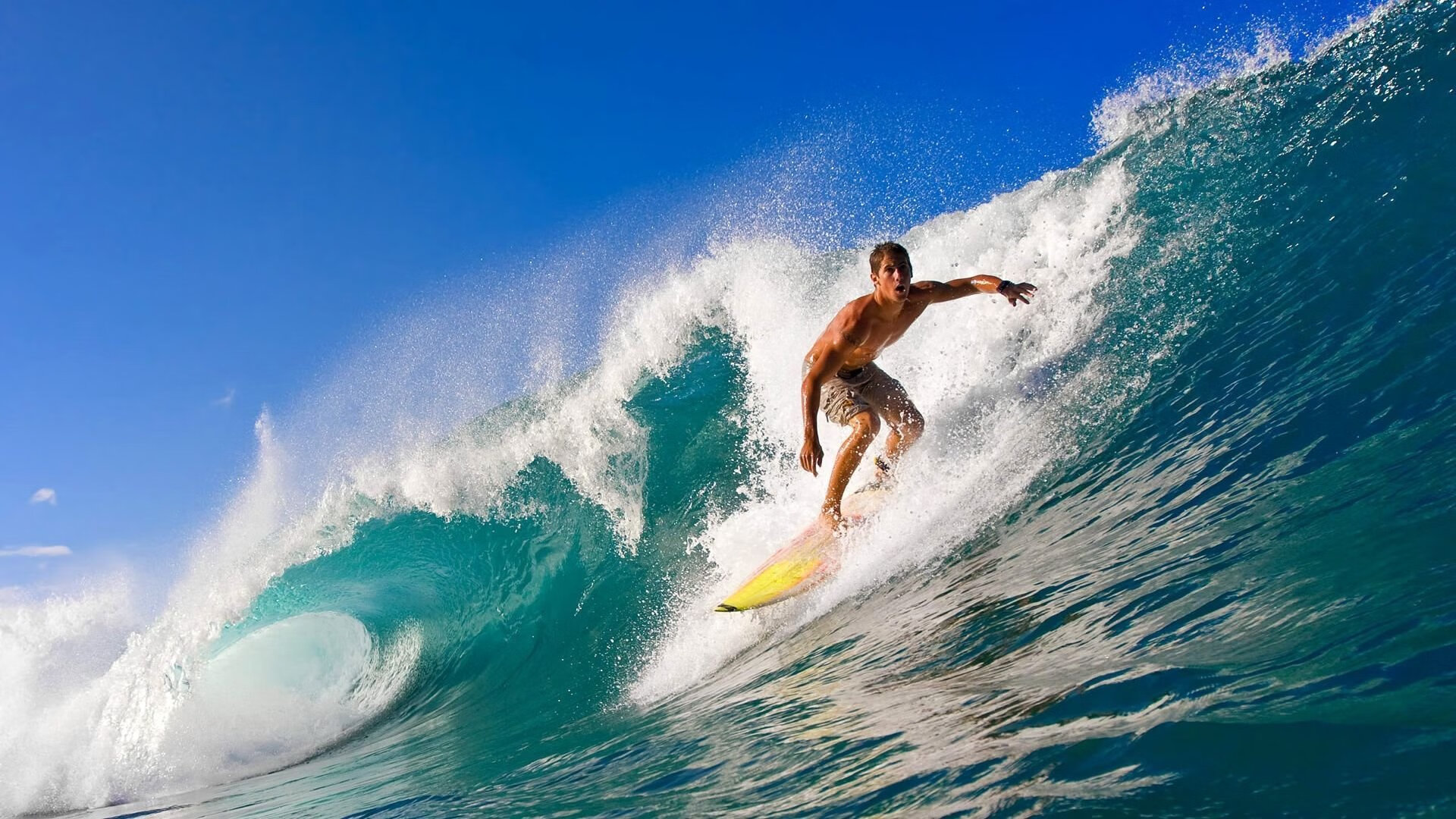 开云APP-戈贝尔化身天山雪豹，猛龙防线在他面前如纸糊